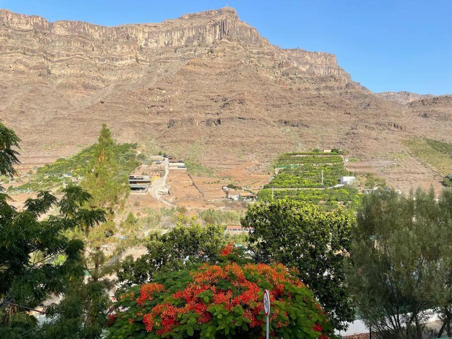 Cycling Holiday, 11 Km From Arguineguin Las Casillas (Mogan) Exterior foto